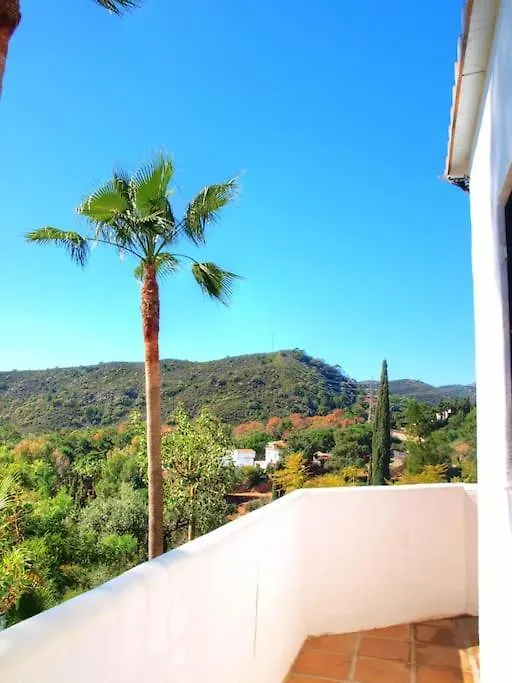 4 Bed Private Pool Villa Bermeja 에스테포나