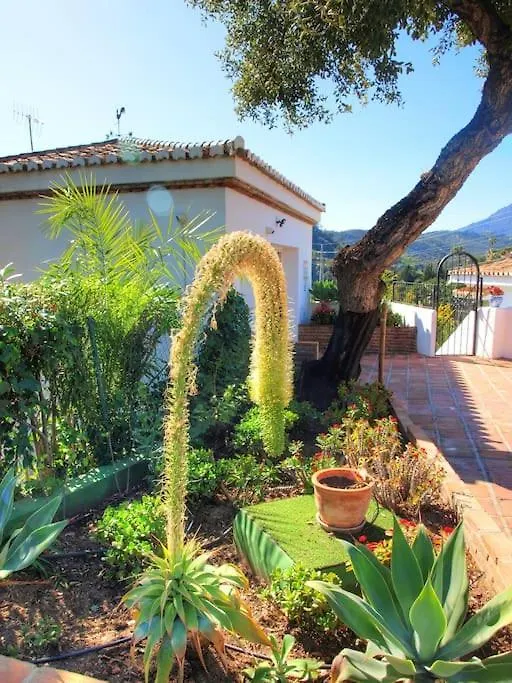 4 Bed Private Pool Villa Bermeja Estepona 0*,